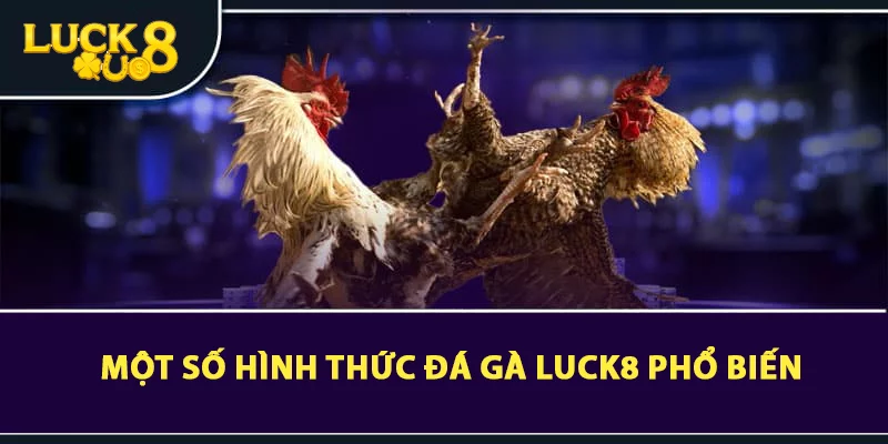 Một số hình thức đá gà LUCK8 phổ biến 